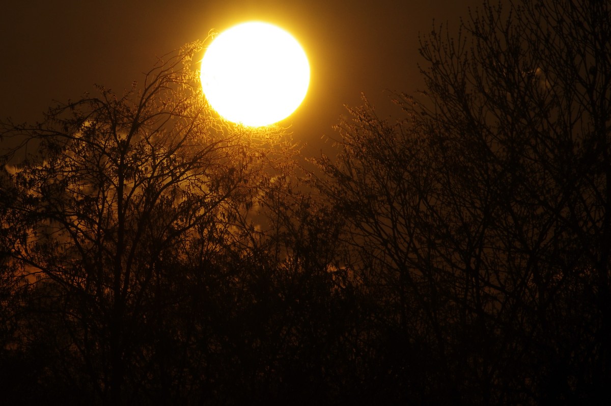Sonne