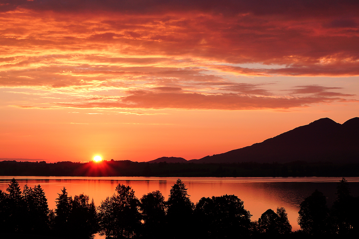 Sonnenaufgang am Forggensee / Allgäu