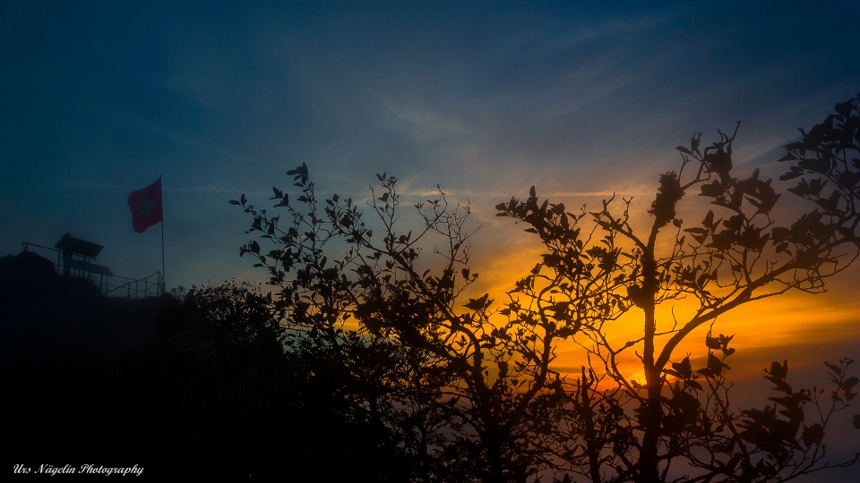 Morgenlicht 3