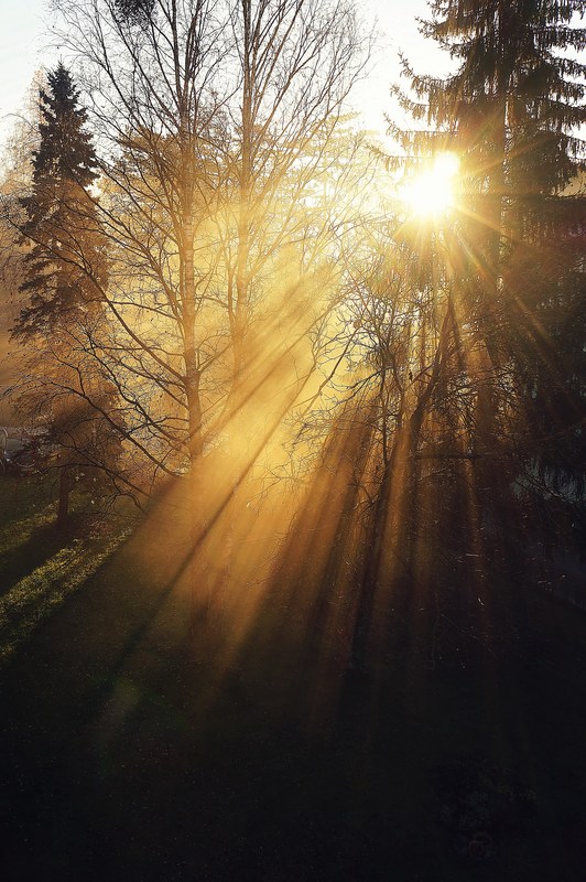 Die Sonnenstrahlen durchbrechen den leichten Nebel