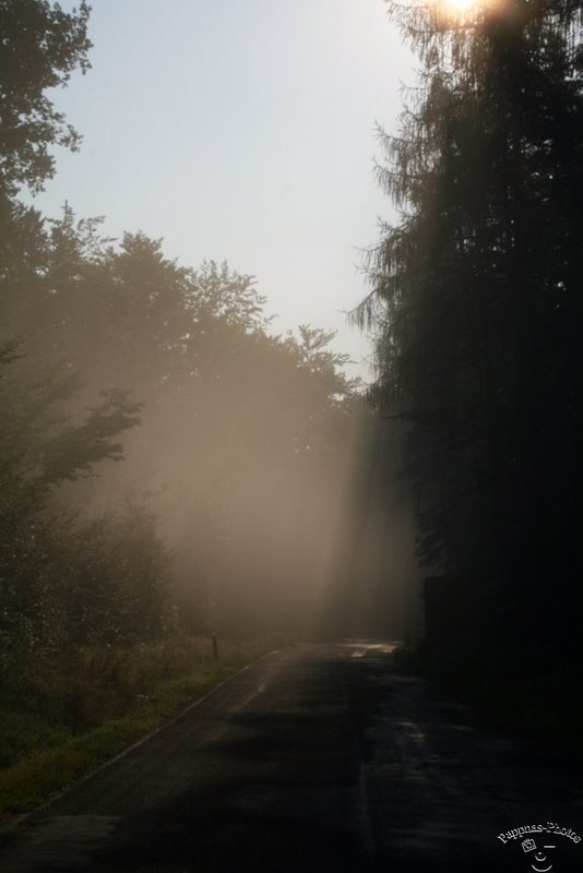 Der Tag beginnt  /01
