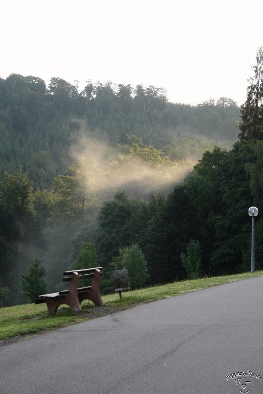 Der Tag beginnt  /06