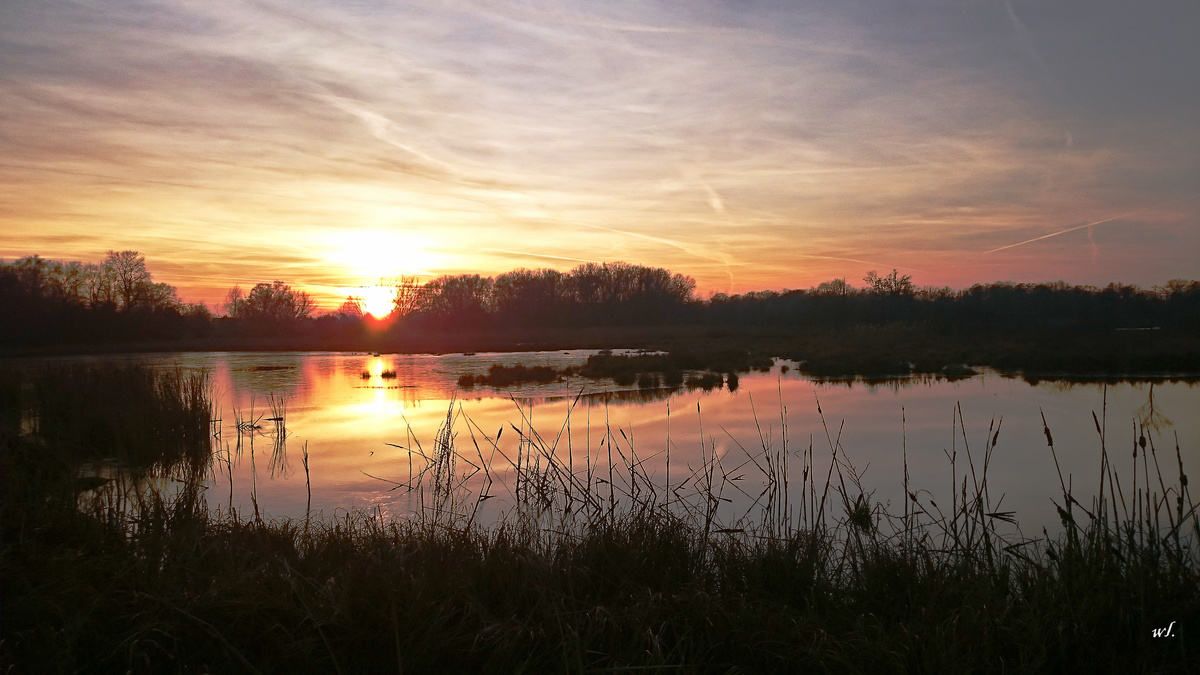 Sonnenuntergang  im Luch