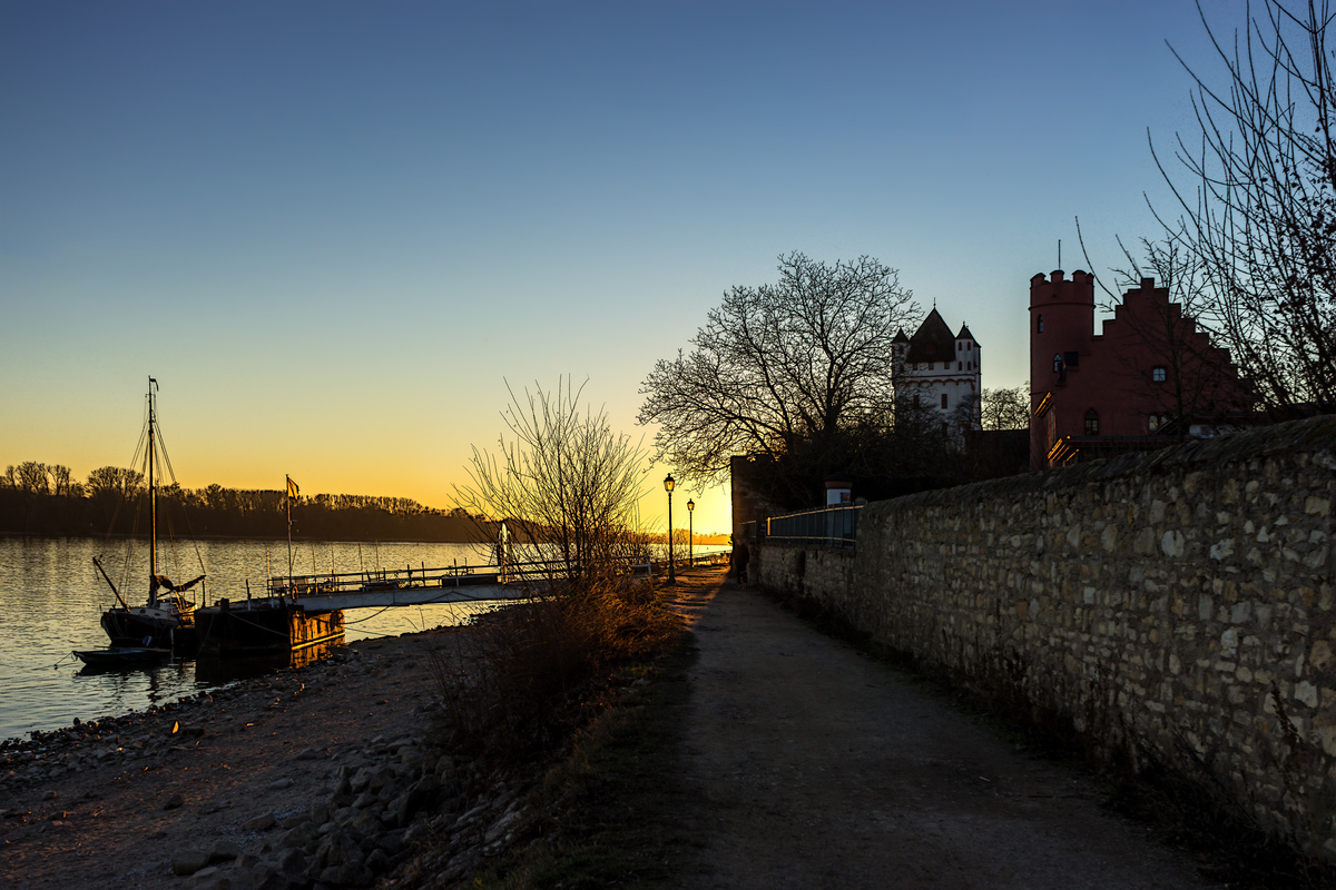 Eltville - auf dem Leinpfad bei Sonnenuntergang