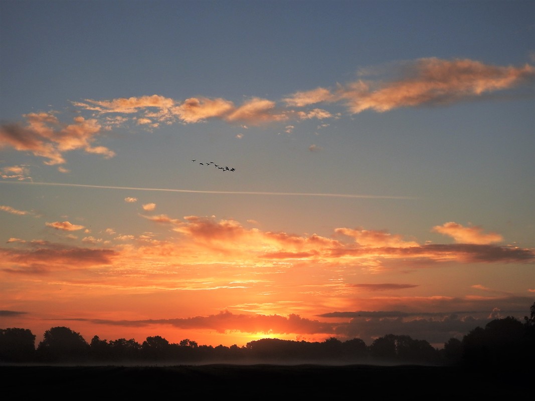 Goldene Morgenstunde