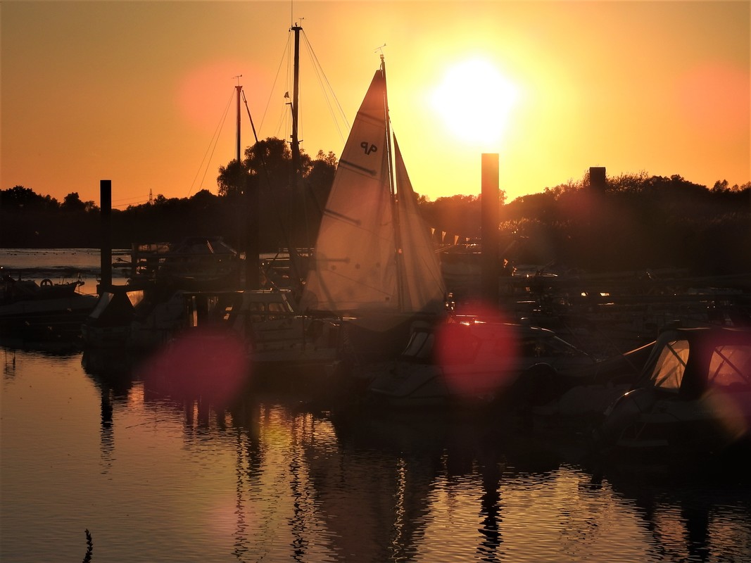 Goldenes Abendlicht