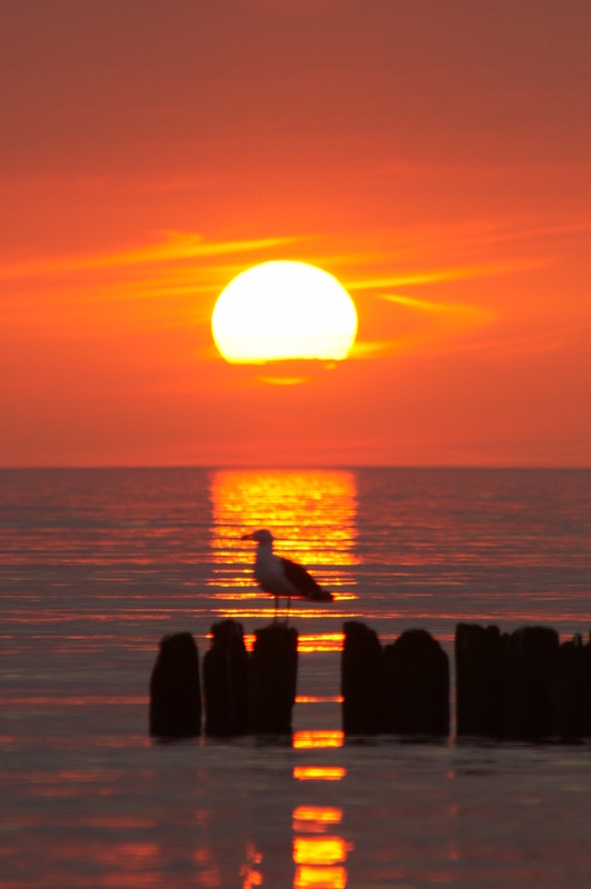 viele grüße von der Ostsee