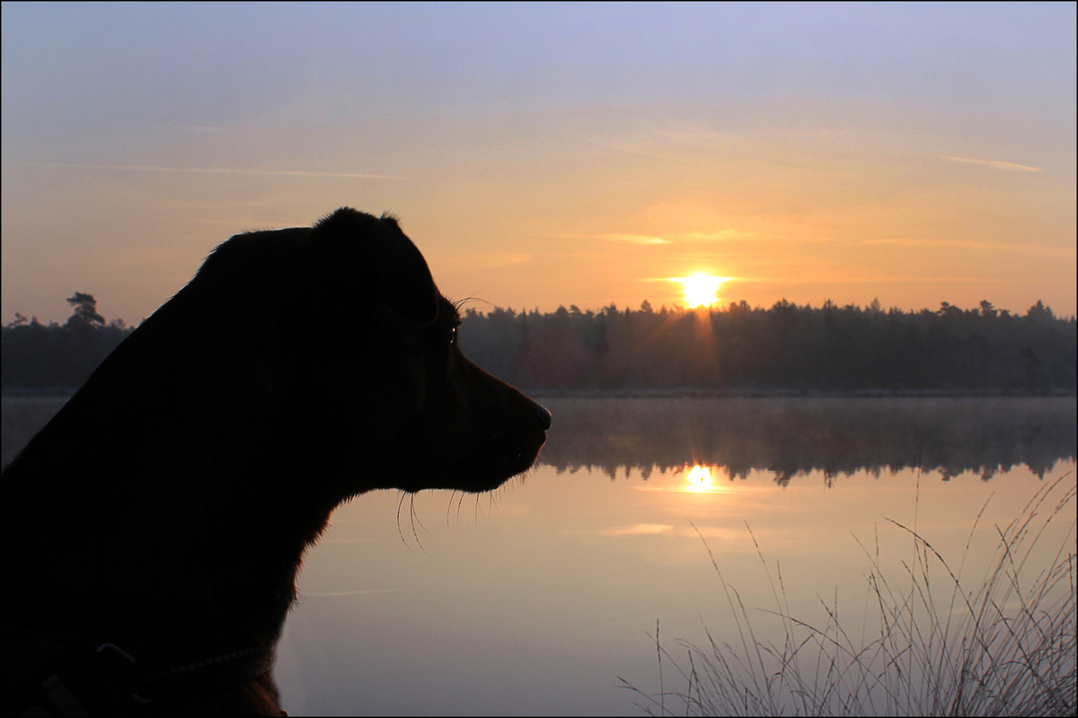 Sonnenaufgang mit Pepsi
