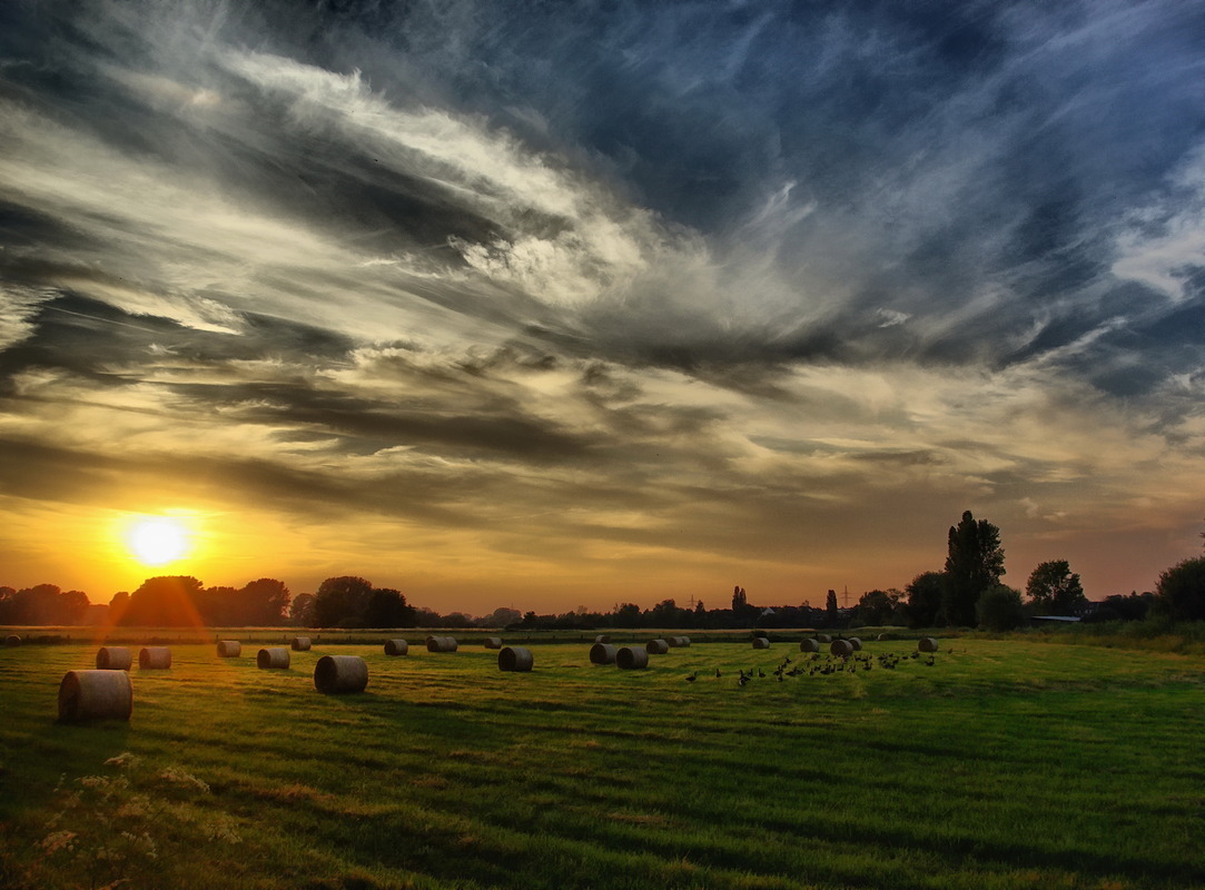 Im Sonnenlicht der Leineauen