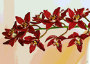 Orchideenzweig