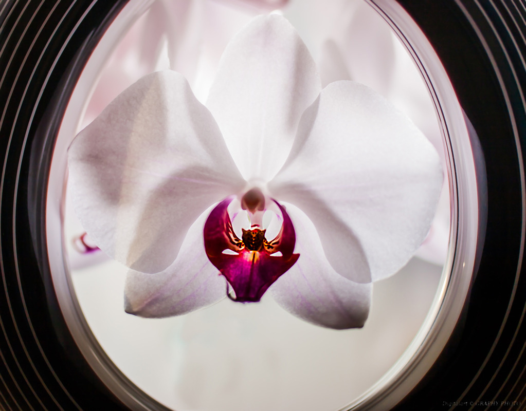 Graphy-Photo @ work _32