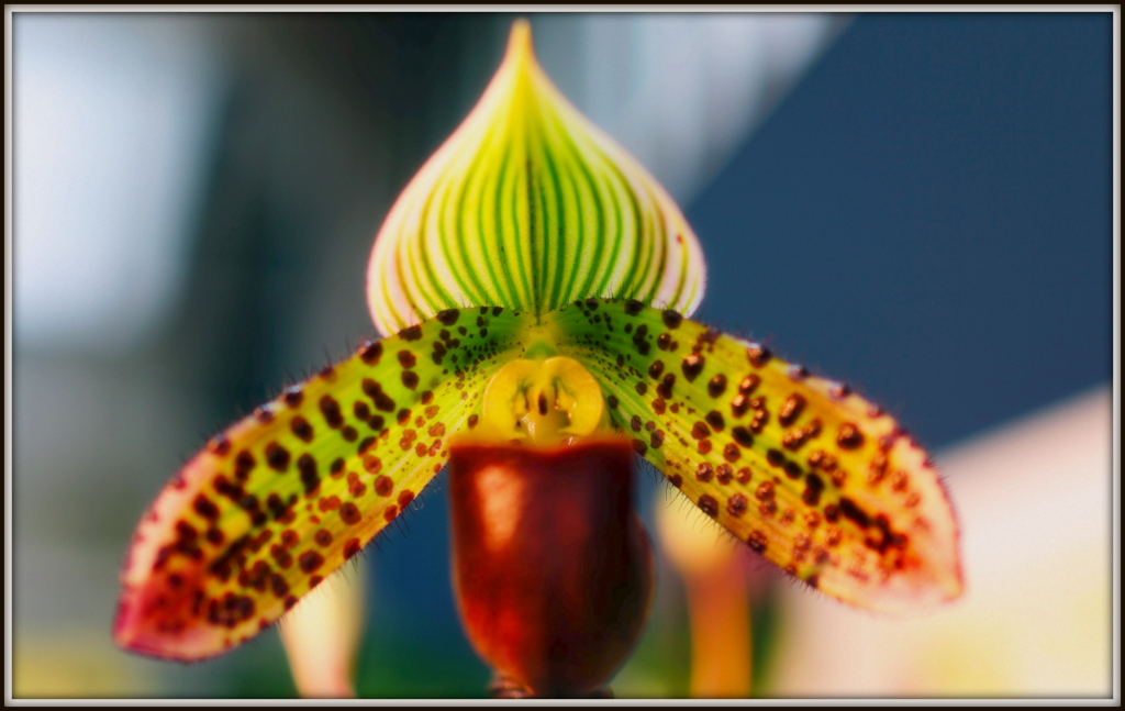 Naturschönheit