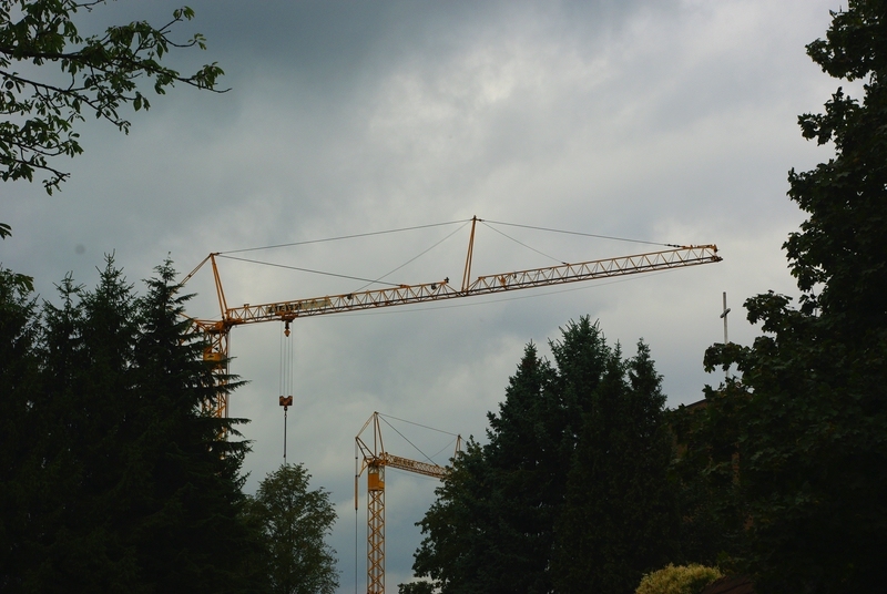 Über den Wipfeln