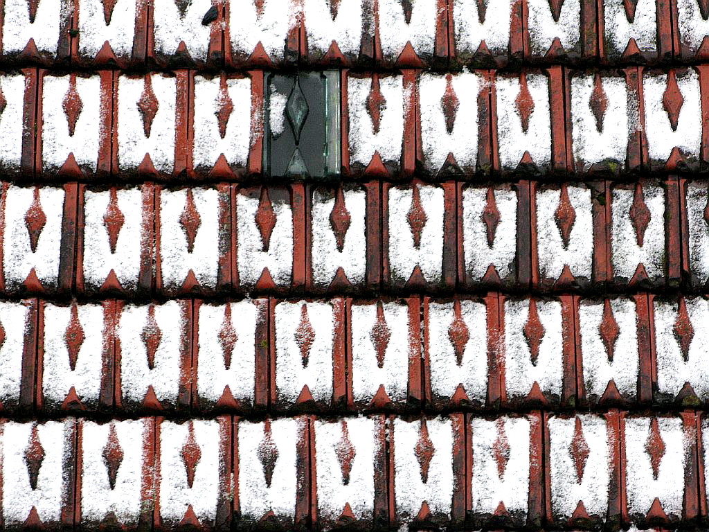 noch etwas winterlich! (2)