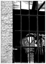 Fotos_Fassaden