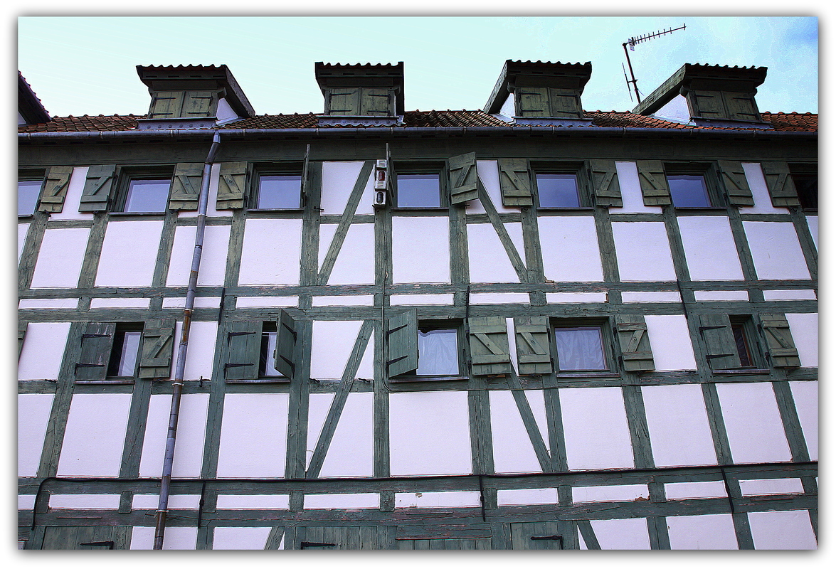Groß im Bild 