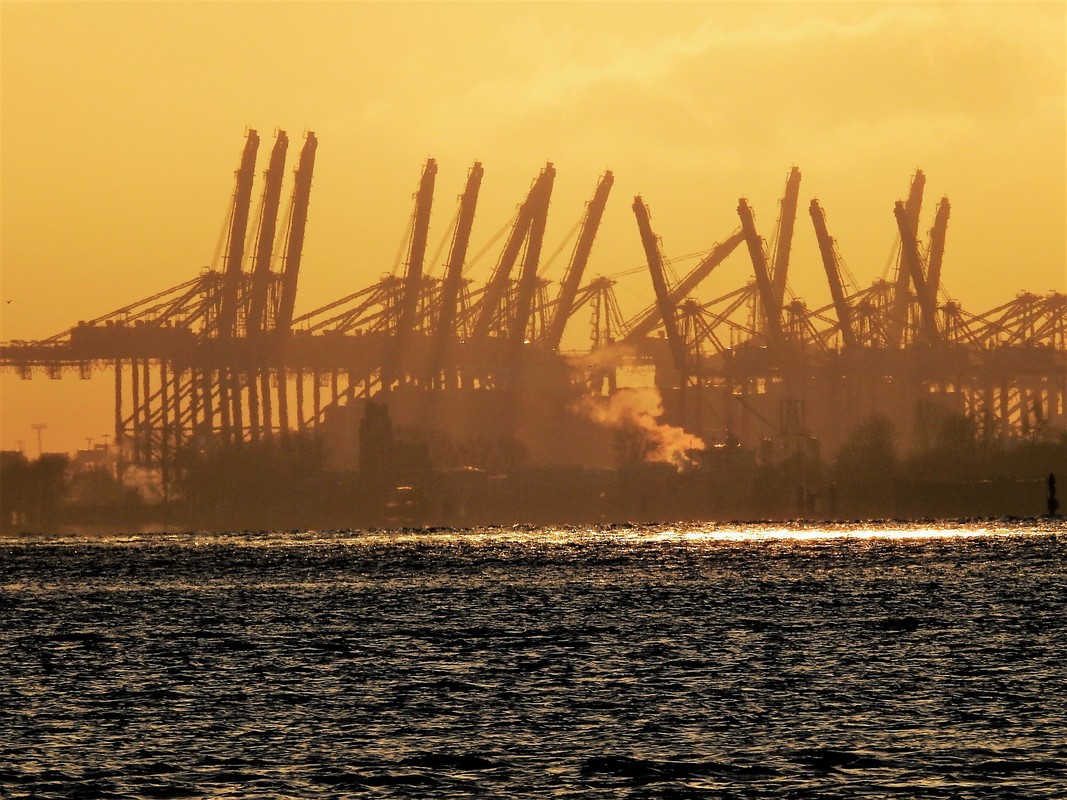 Hafenkräne im Morgenlicht