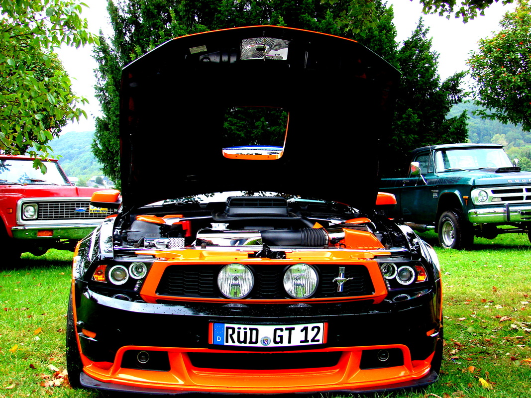 Mustang 