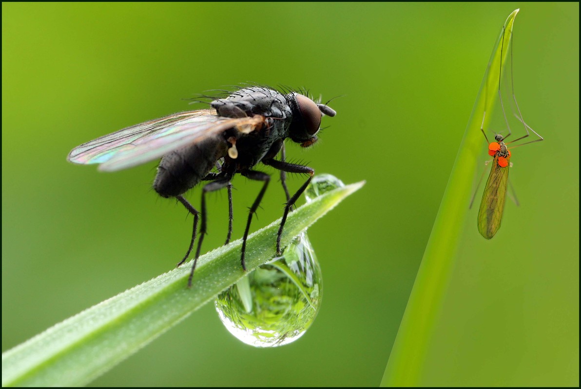 Mit der Natur leben?