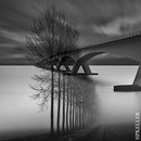 NatureArchitektur I - Kombigrafie 