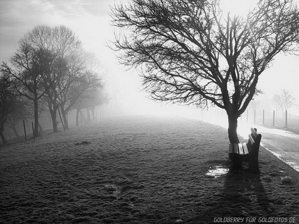 Melancholie am frühen Morgen