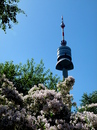 Wiener Donauturm