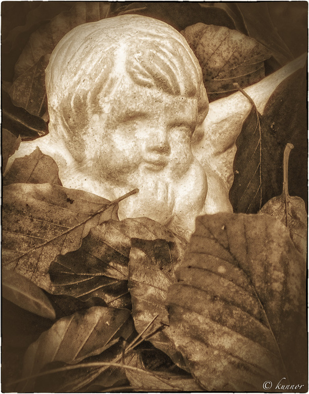 sie sind überall !!!