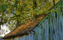 durchwachsen
