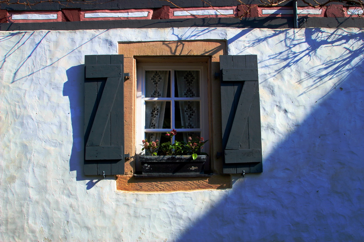 Einblick und Ausblick