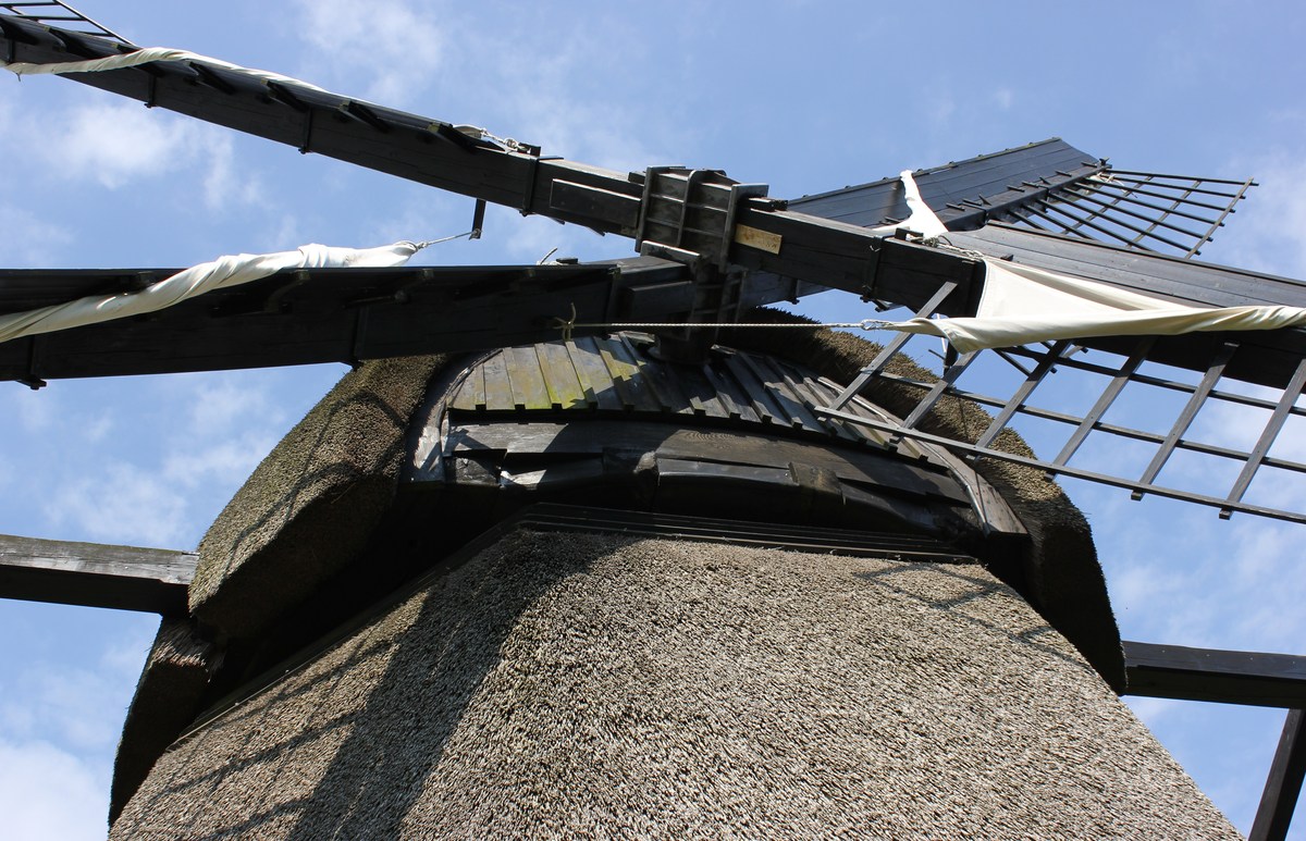 Die Mühle