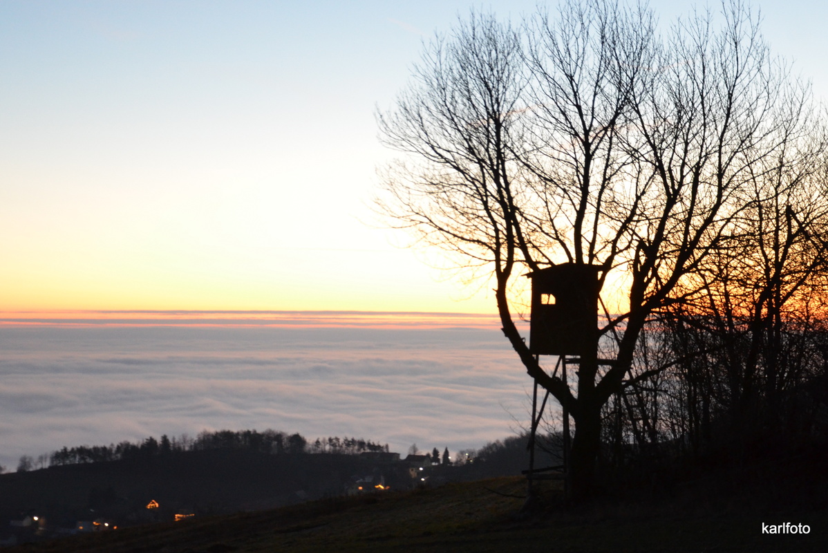 ...Ansitz mit Fernblick