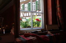 Ausblick