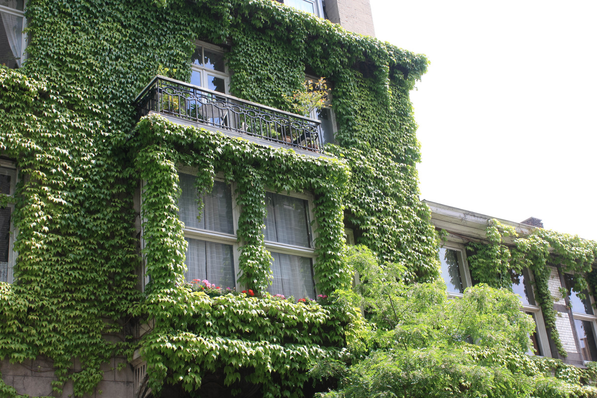 TdT -Fenster-