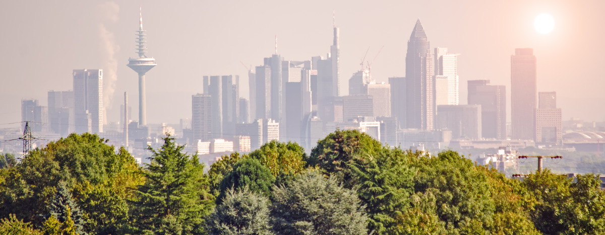 Skyline Ffm
