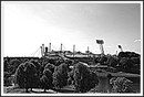 Olympiapark -HDR 