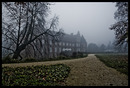 Schloßpark im Nebel