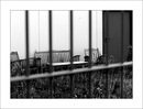 Fotos_Altes & Marodes