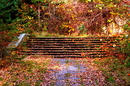 alte Steintreppe im Herbst