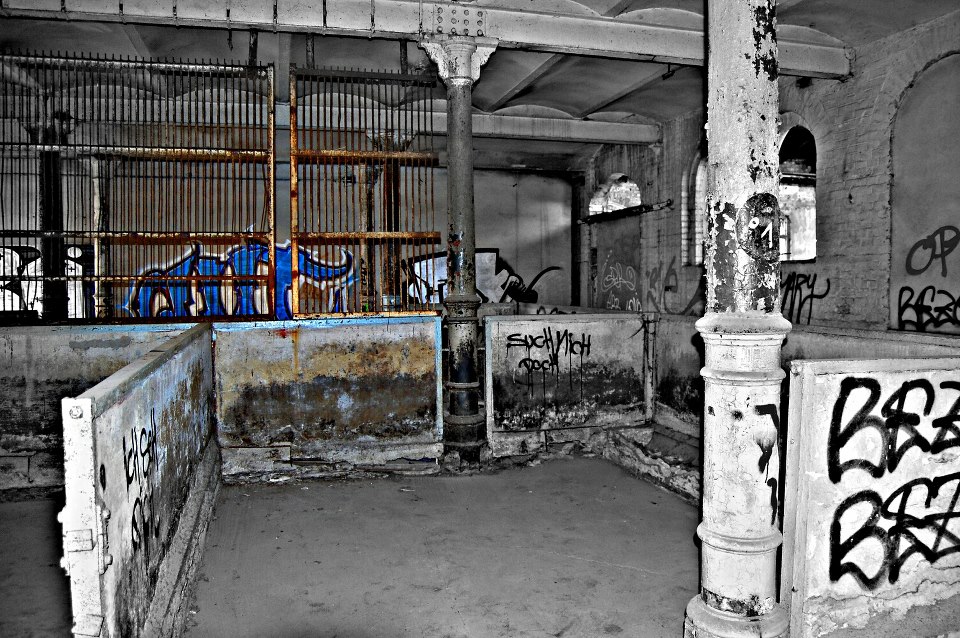 Alter Schlachthof Halle Saale