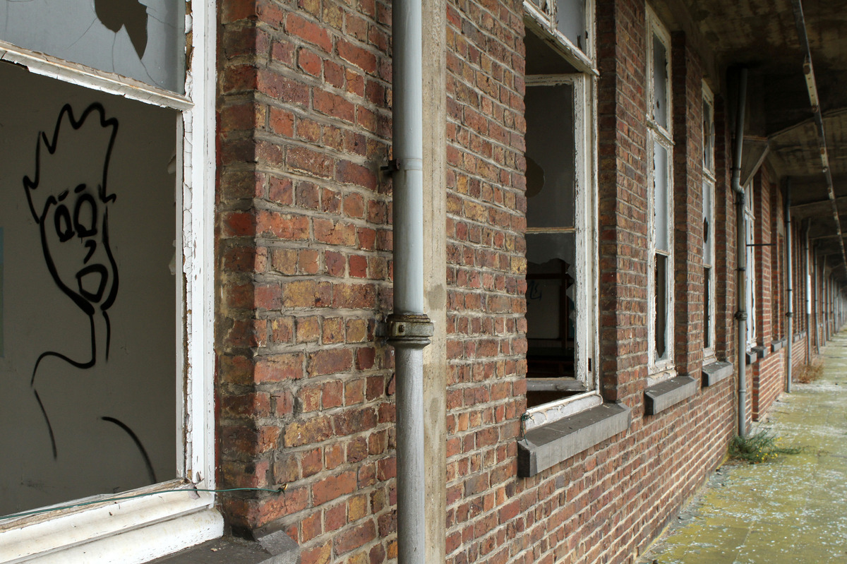 Wer schaut denn da aus dem Fenster