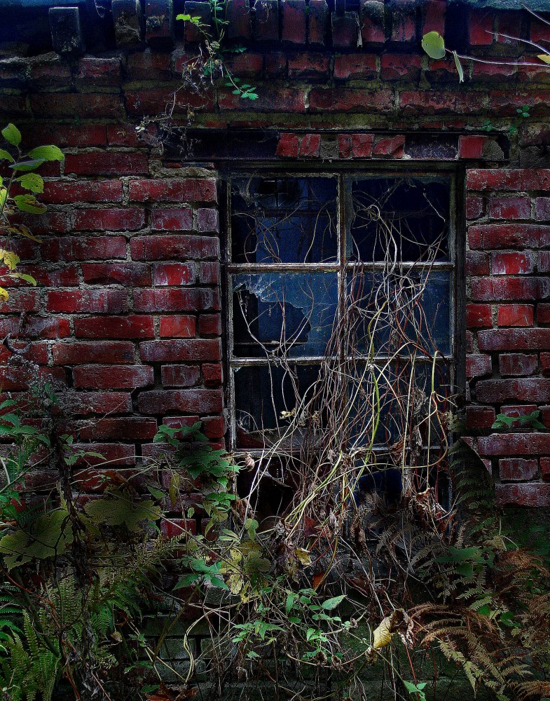 von der Natur zurück erobert