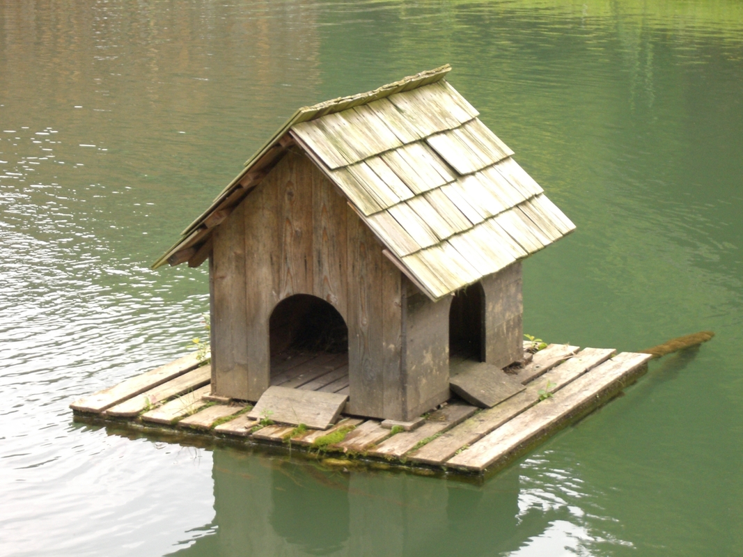 schwimmendes Vogelhäuschen