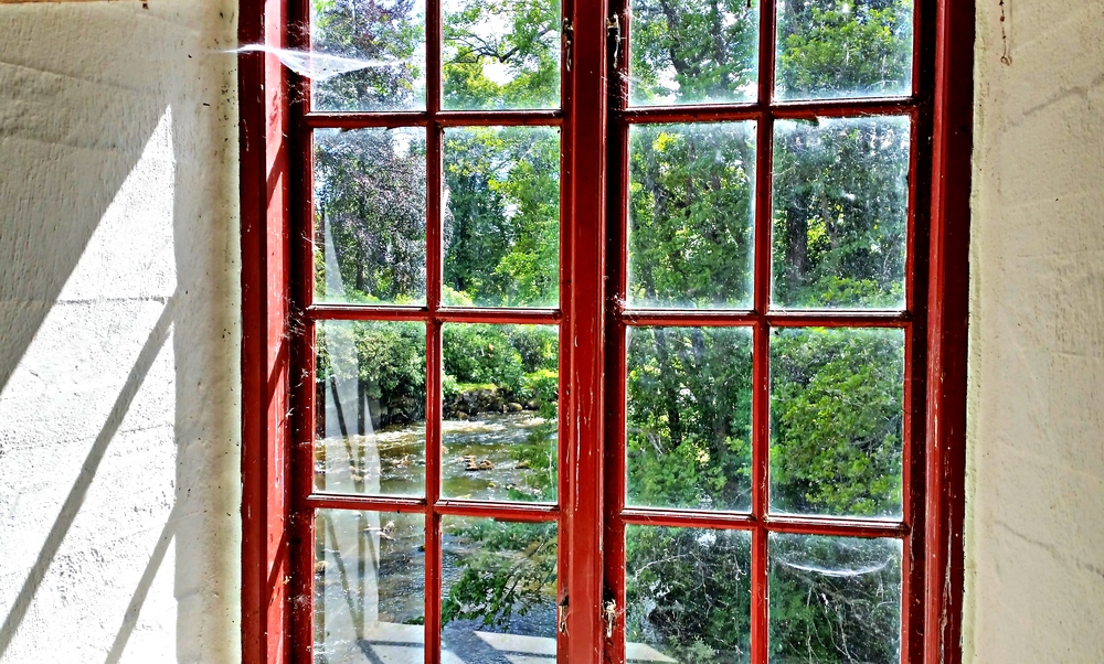 Blick aus dem Fenster