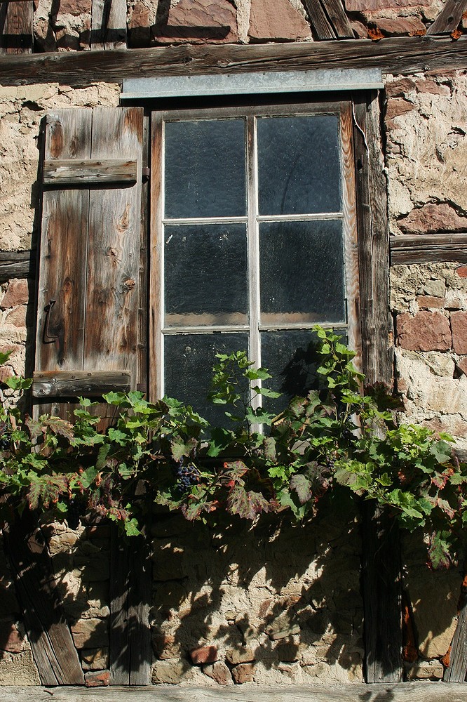 Altes Fenster