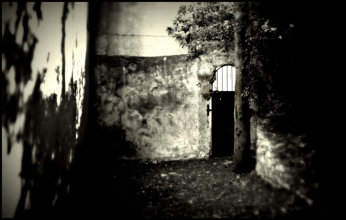 Hinterhof 