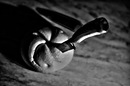 Fotos_Alltagsgegenstände