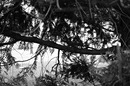 Fotos_Alltagsgegenstände