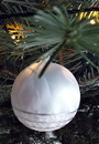 Fotos_Alltagsgegenstände