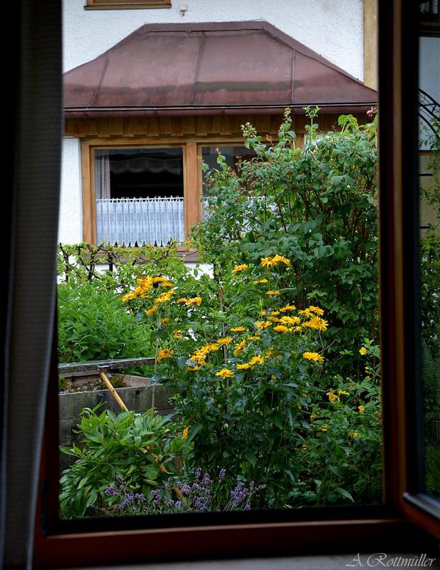 Der Blick durch das Fenster!