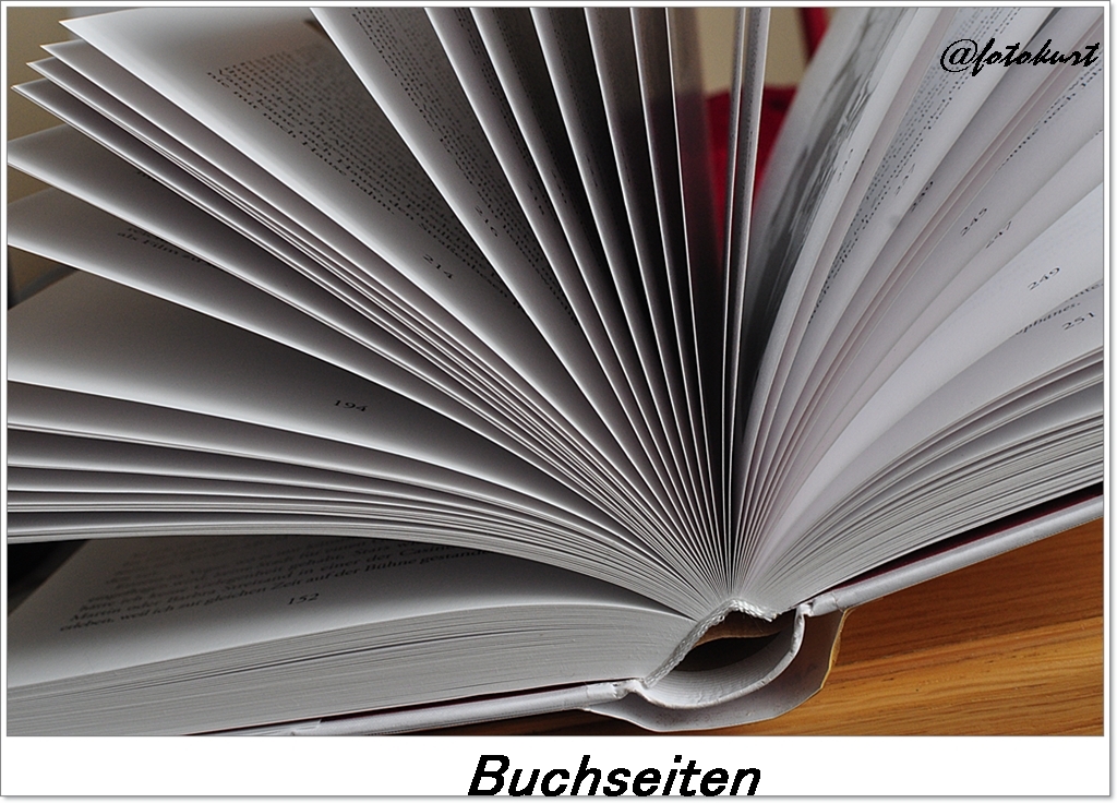 Ein Buch - näher betrachtet